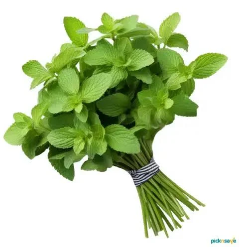 Farmer's Mint Leaves