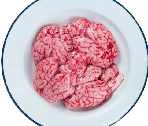 Goat Brain, Each