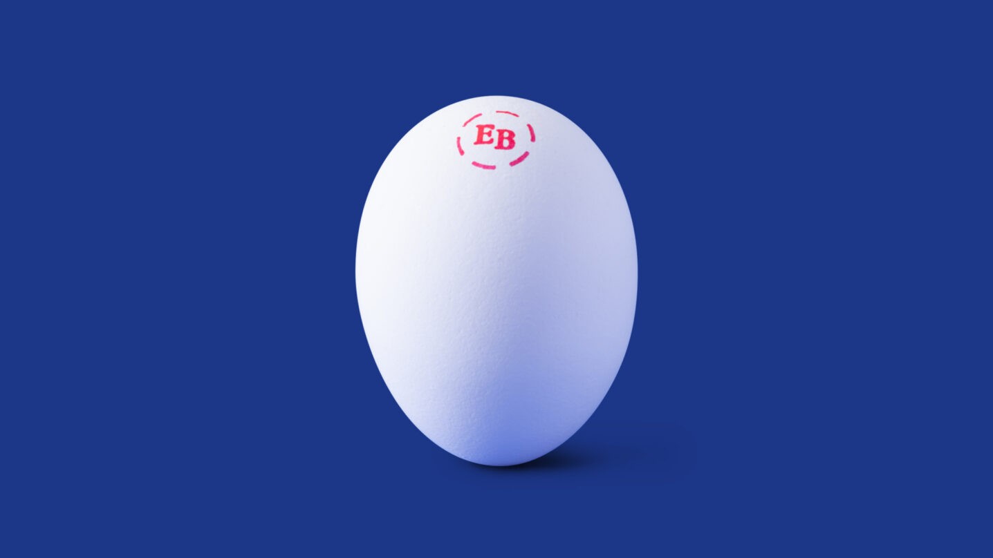 JF - Grade A XLarge Eggs