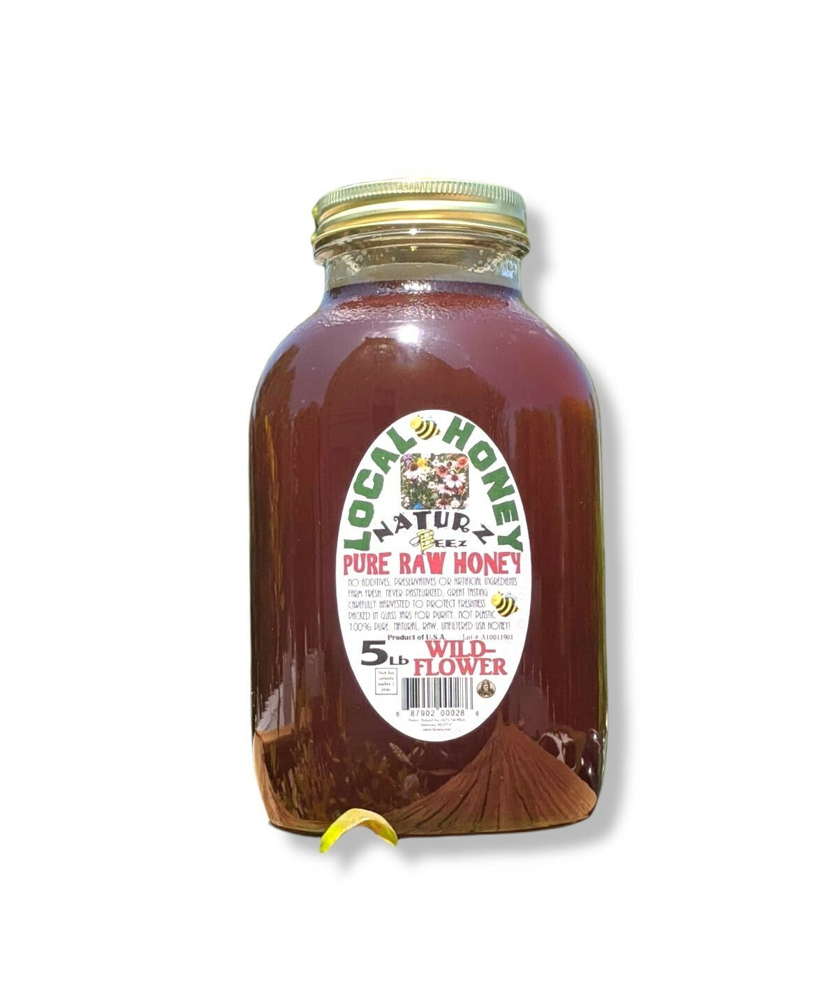 Wildflower Honey, 5lb Glass Bottle