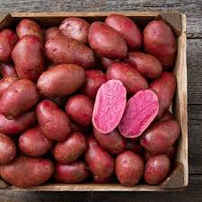Fresh Red Potatoes