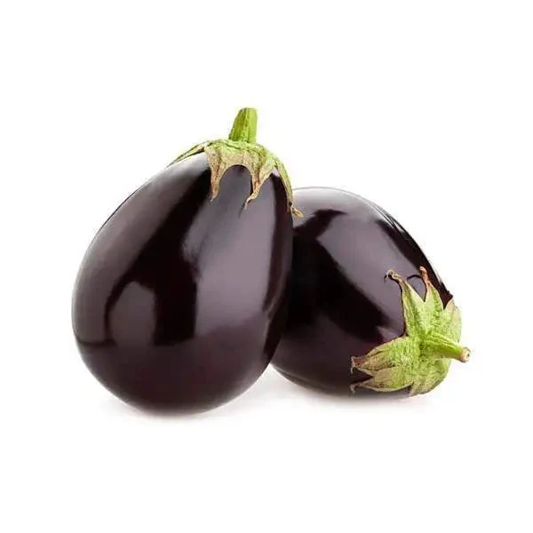 Fresh Round Eggplant