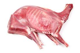 GG ZH Goat