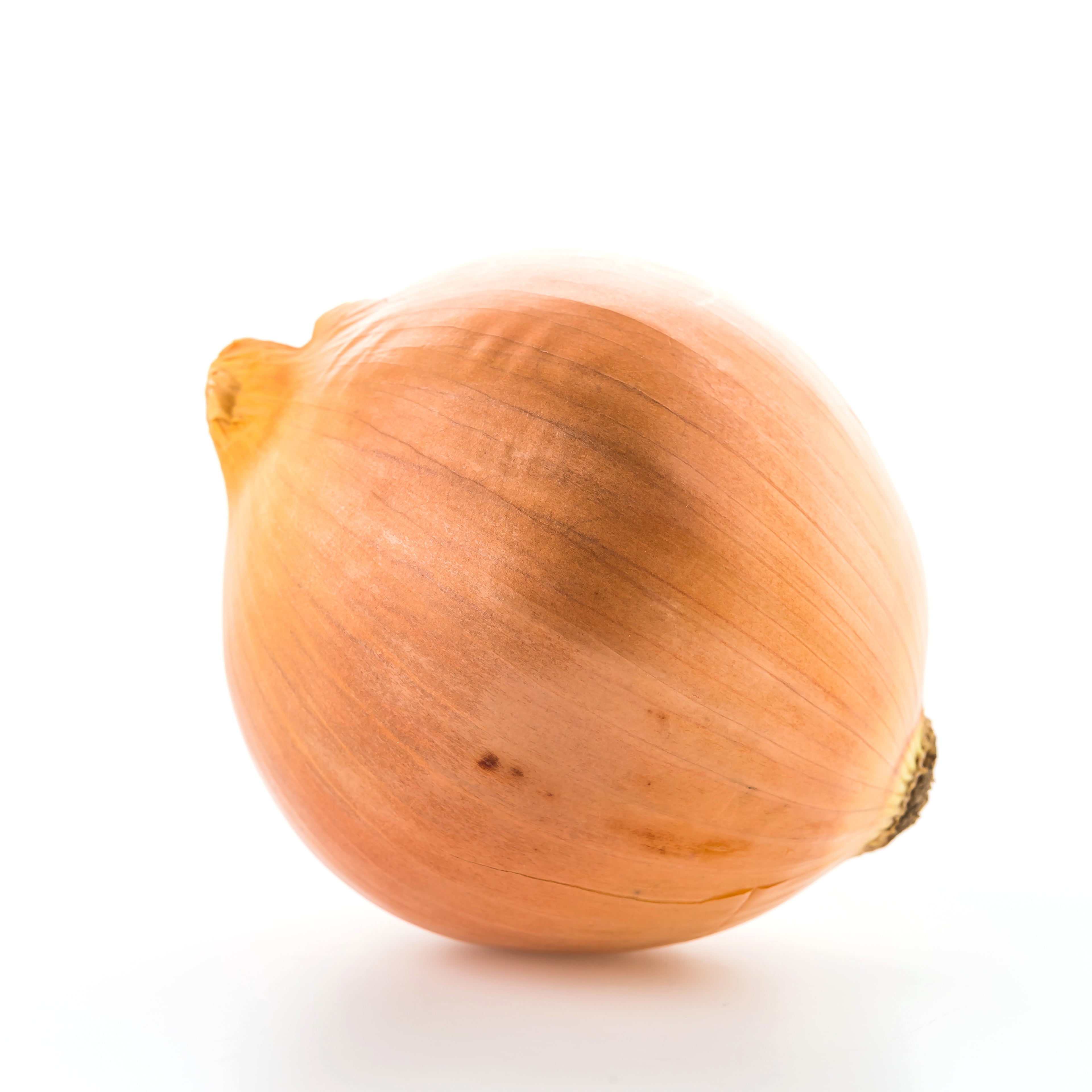 Fresh Yellow Onion