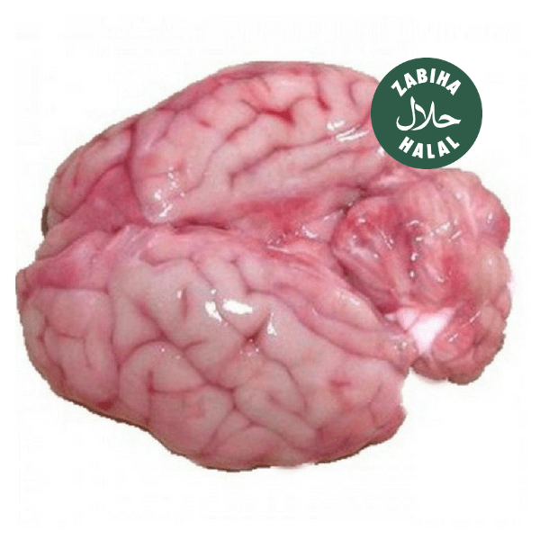 Young Goat Brain (Maghaz) Each