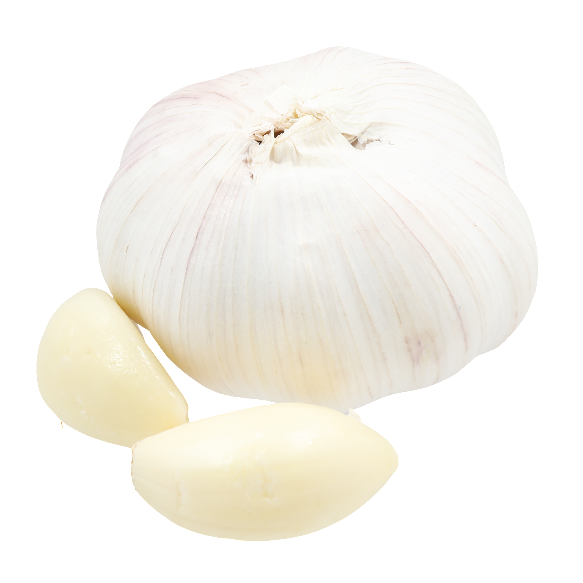 Fresh Garlic
