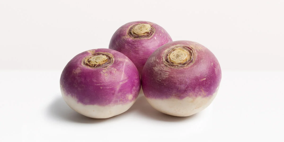 Fresh Turnip