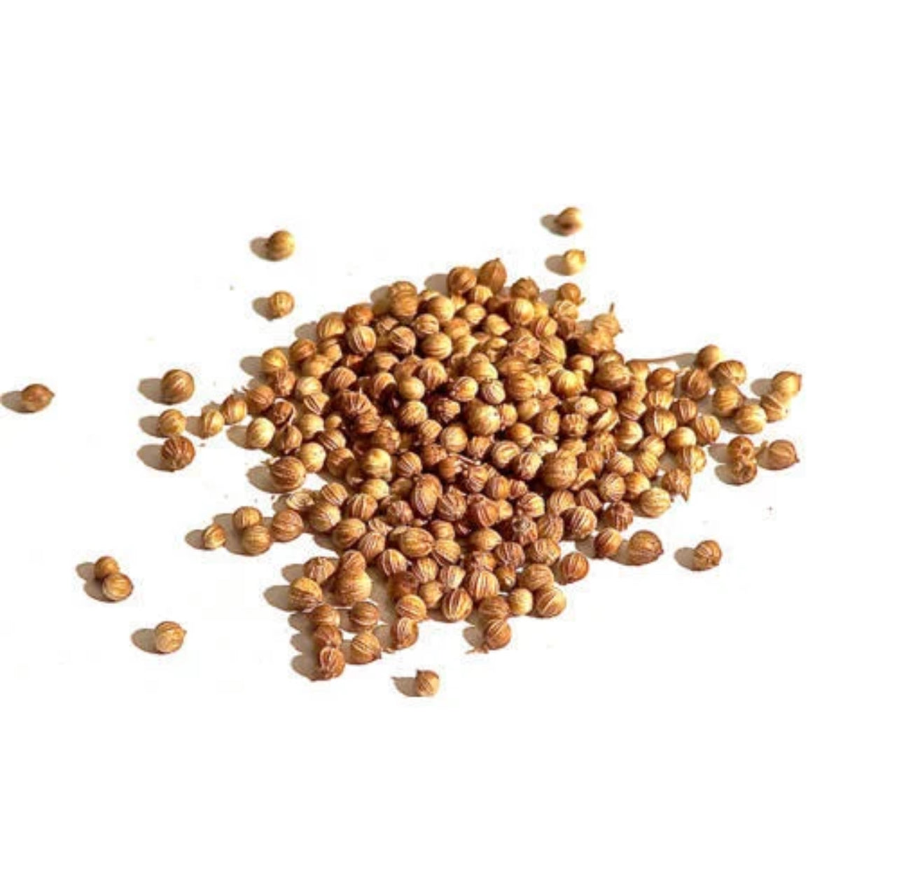 Deer - Coriander Seeds, 2.5lb