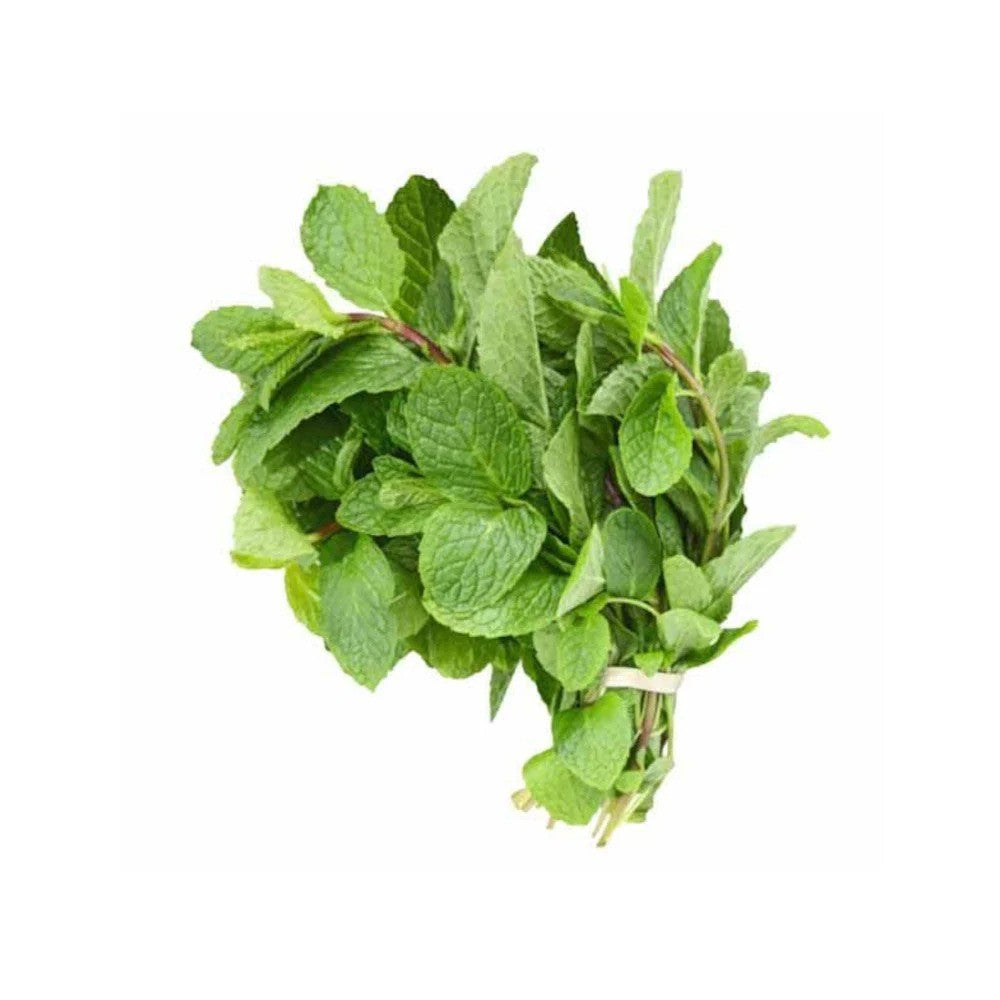 Fresh Mint Bunch