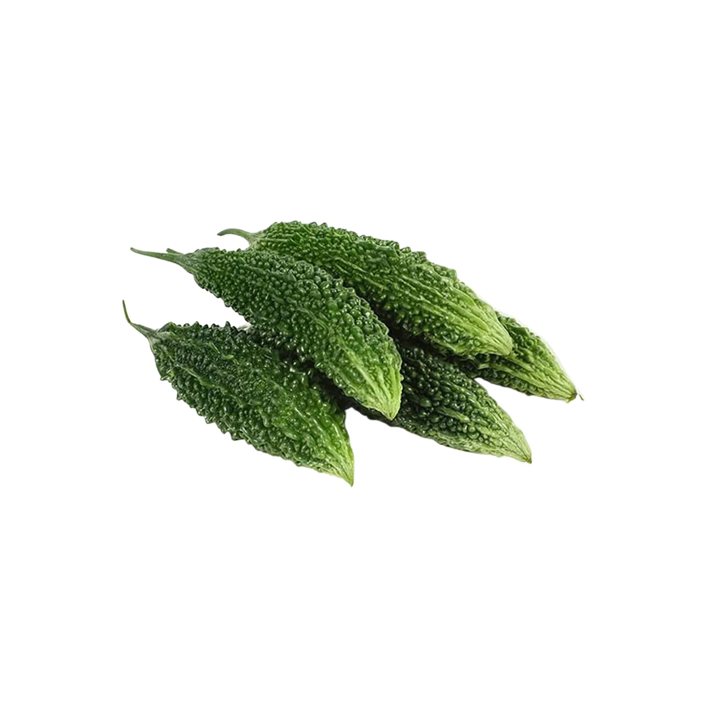 Fresh Karela (Bitter Melon)